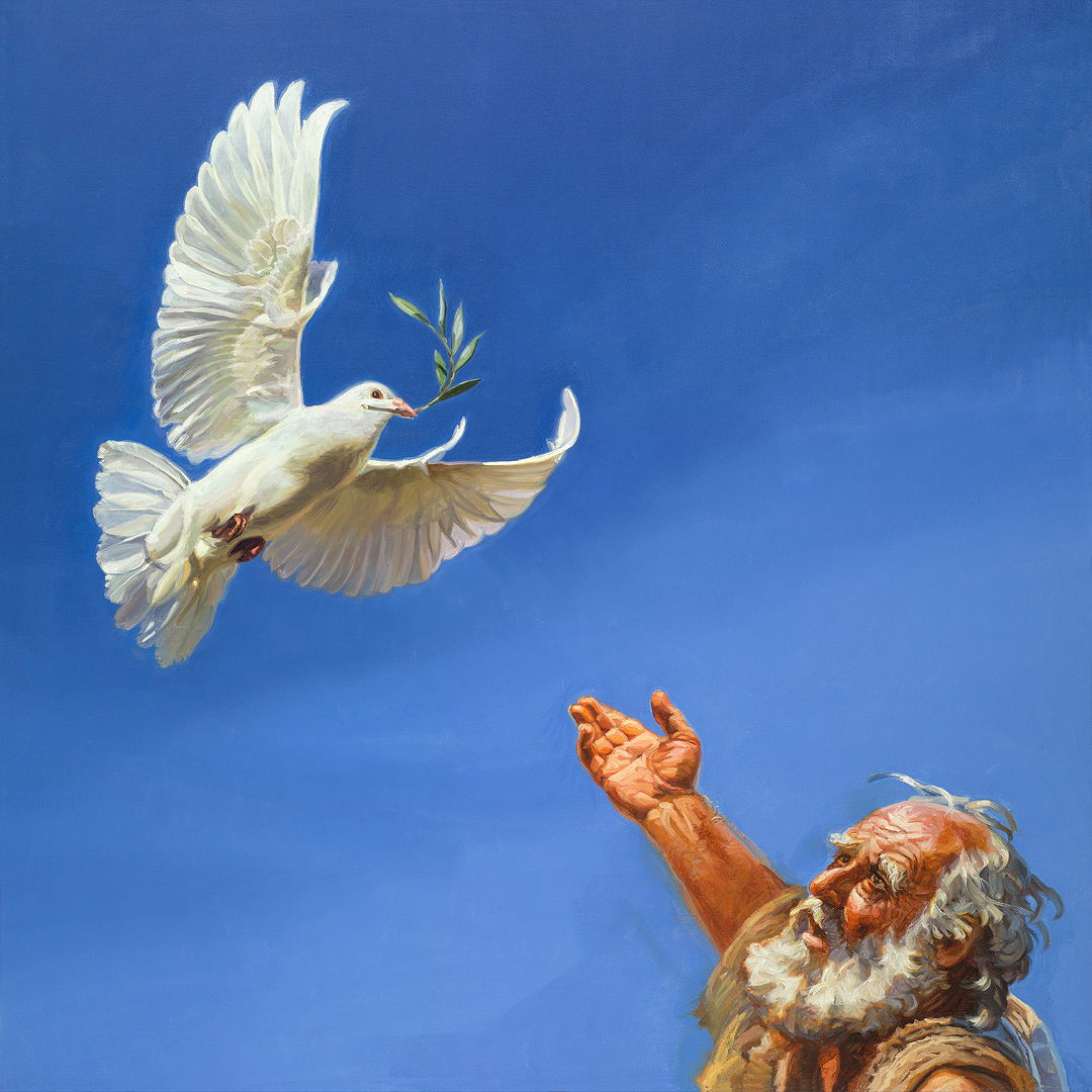 The dove returns